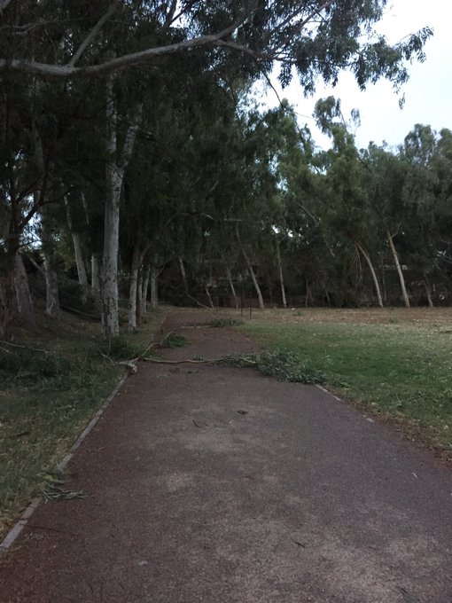 View image on Twitter