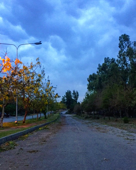 View image on Twitter