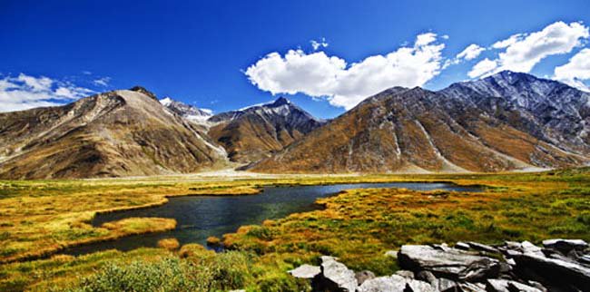 sanjaykotwal121's tweet photo. My beautiful world https://t.co/J6qUmdnzim