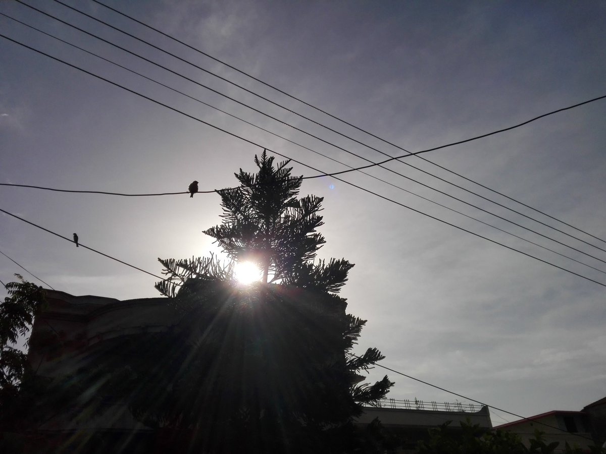 View image on Twitter