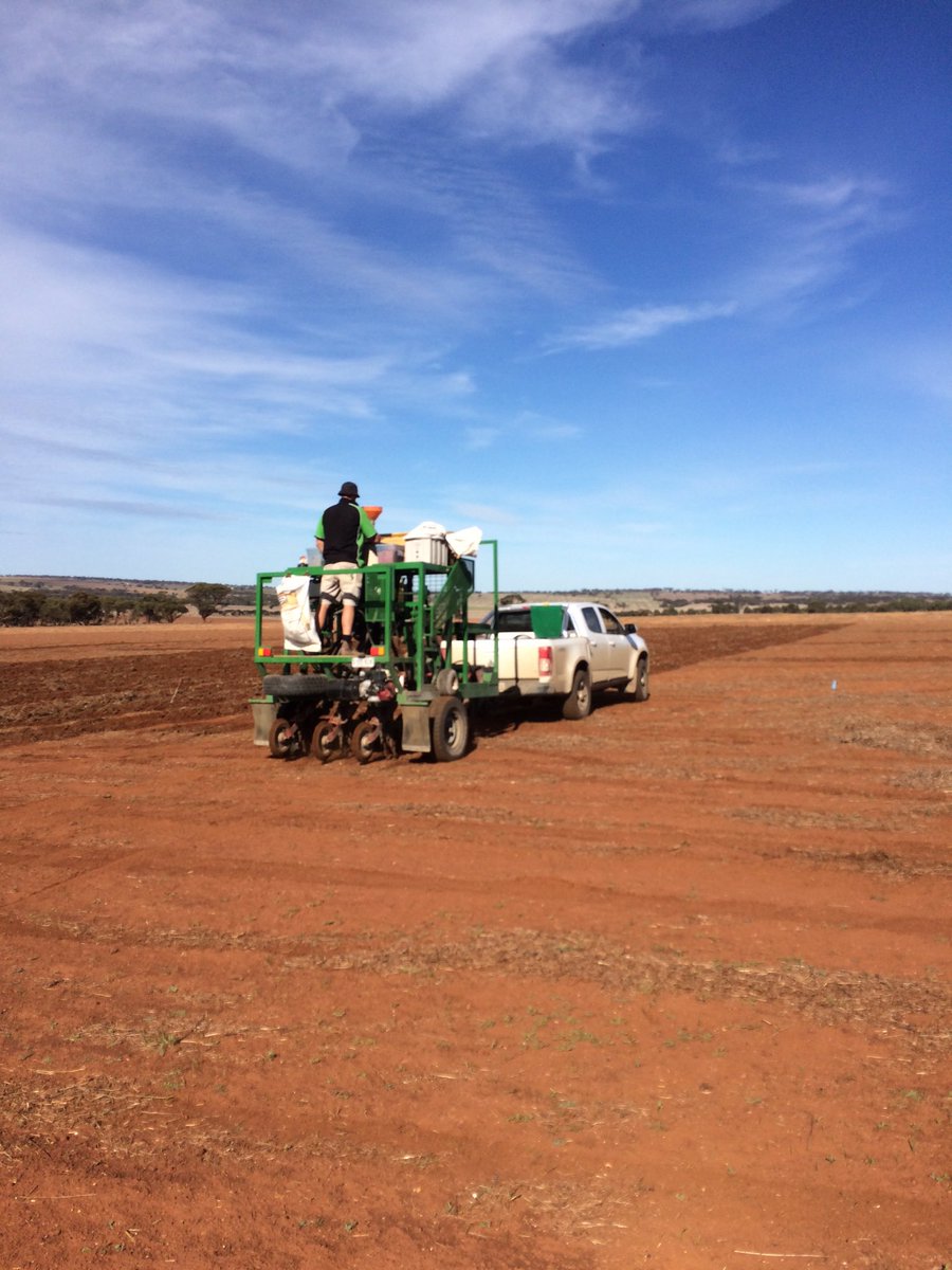 SeanM_DMAg_SA's tweet photo. Sowing the wheat pre em trial first #landmarkmb @agbyte_leet @Bullant71 @PhilVenus https://t.co/ktrZB5pOha