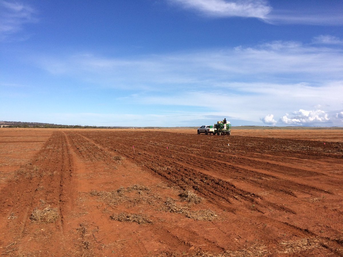 SeanM_DMAg_SA's tweet photo. Sowing the wheat pre em trial first #landmarkmb @agbyte_leet @Bullant71 @PhilVenus https://t.co/ktrZB5pOha