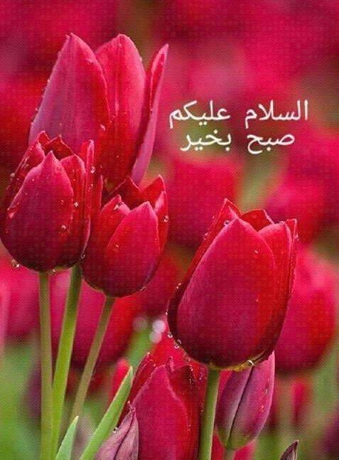 CUTE PARRi (@saminapari4) on Twitter photo 