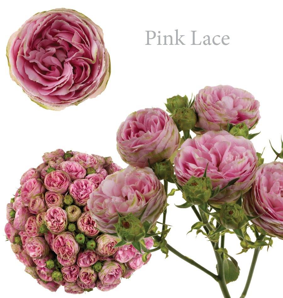 flowers for office tweet media