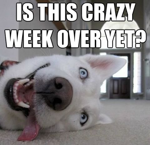 Cliffcentral Com Only One More Sleep Til Friday Here S What S Happening Today T Co Oksnvxth5g Cliffcentral Com Only One More Sleep Til Friday Here S What S Happening Today T Co Oksnvxth5g