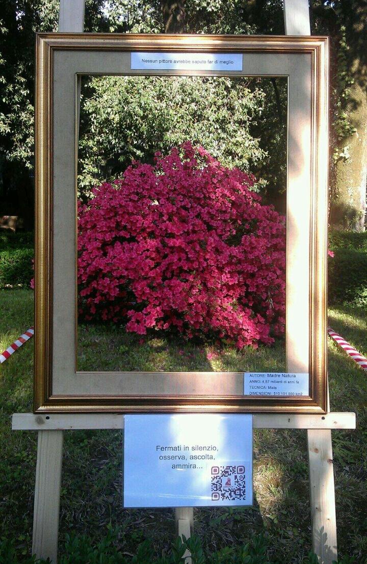 AssPraticaMente's tweet photo. Due anni fa festeggiavamo la natura della nostra Repubblica in questo modo, durante #Cittanova #Floreale https://t.co/70IOEtPrm2