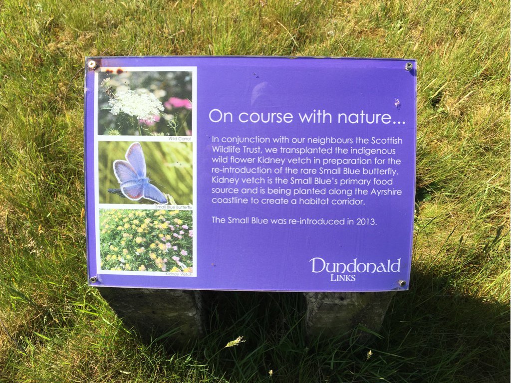 ZakKoz's tweet photo. Dundonald Links gives me butterflies #MadeforScotland https://t.co/3jC8TarVjH