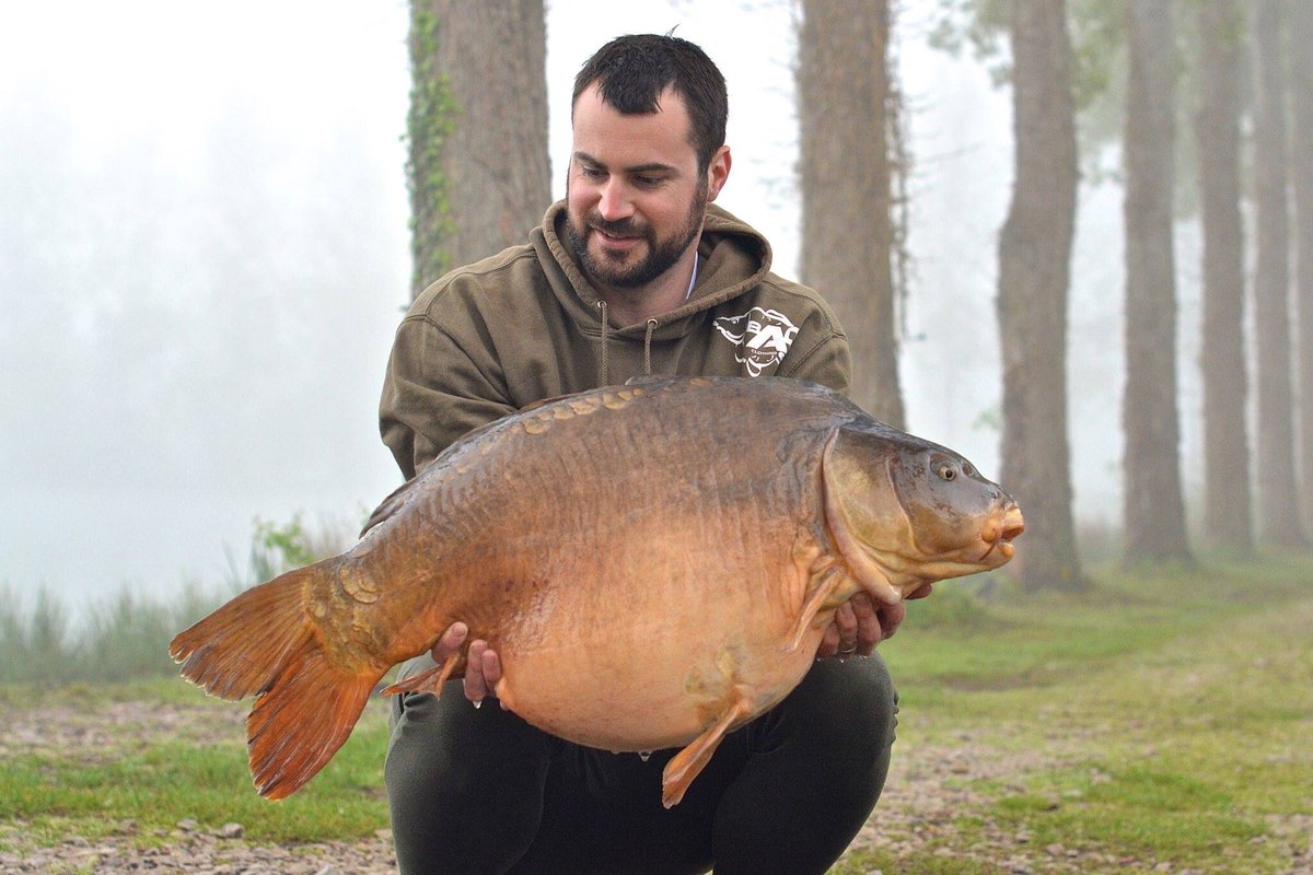 chateaudubeck's tweet photo. Love getting up to a misty morning and a fat carp coming over the net cord. @Baitworks #atlanticheat #works https://t.co/qqw9zbxkmf