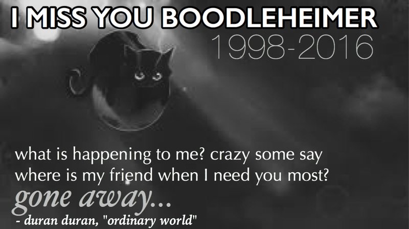 HOW AM I SUPPOSED TO SLEEP WITHOUT MY MAIN DUDE BY MY SIDE