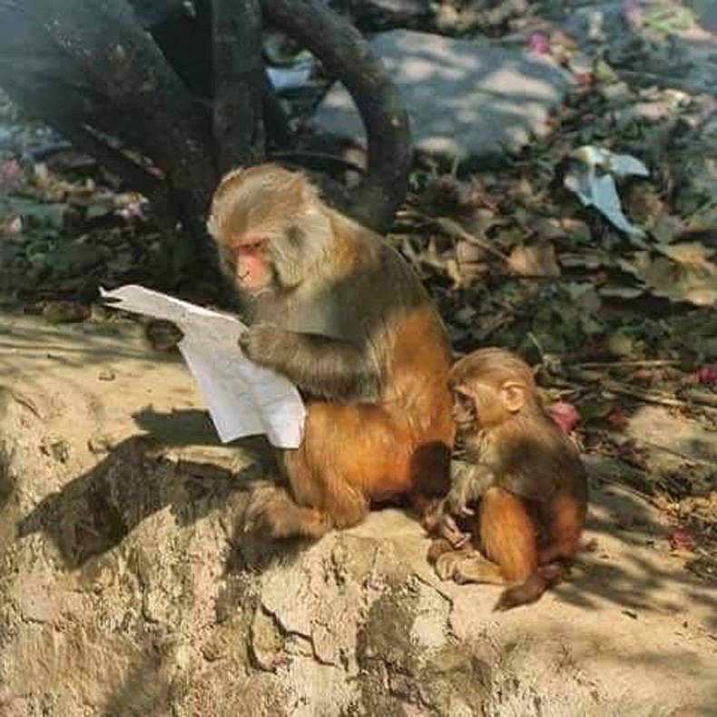 XoseCastro's tweet photo. Si quieres que tu hijo lea, tiene que verte disfrutar leyendo. ESTO ES ASÍ. https://t.co/OjHSWeOvXL