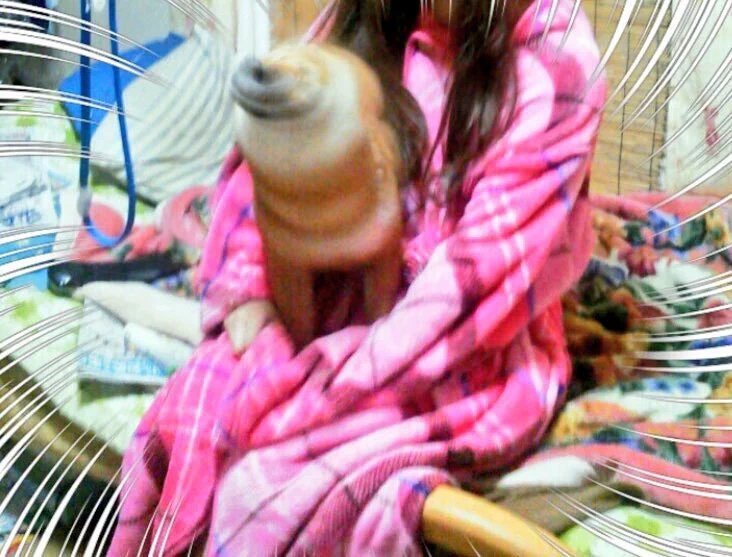 drillmehardpyro's tweet photo. DOGE DRILL! I wonder if I can drill myself with it. Eh eh eh! https://t.co/y0JoYnKiHI