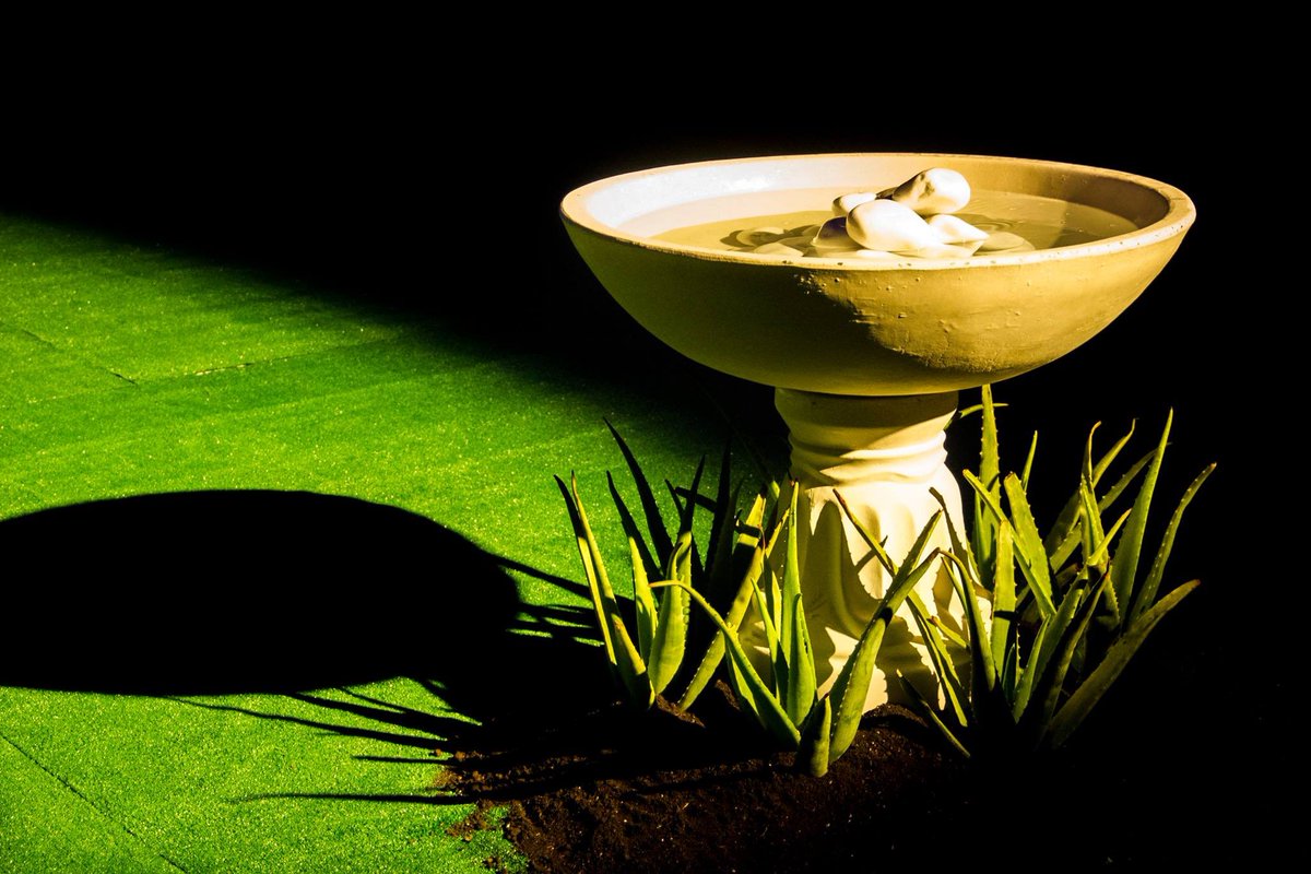 OnassisStegi's tweet photo. #HypnosProject Polysomnogarden
O πιο ζεν κήπος της πόλης
#σήμερα 15:00-21:30| Ευρυδάμαντος & Γαλαξία
Eίσοδος δωρεάν https://t.co/Zunu2CGB7I
