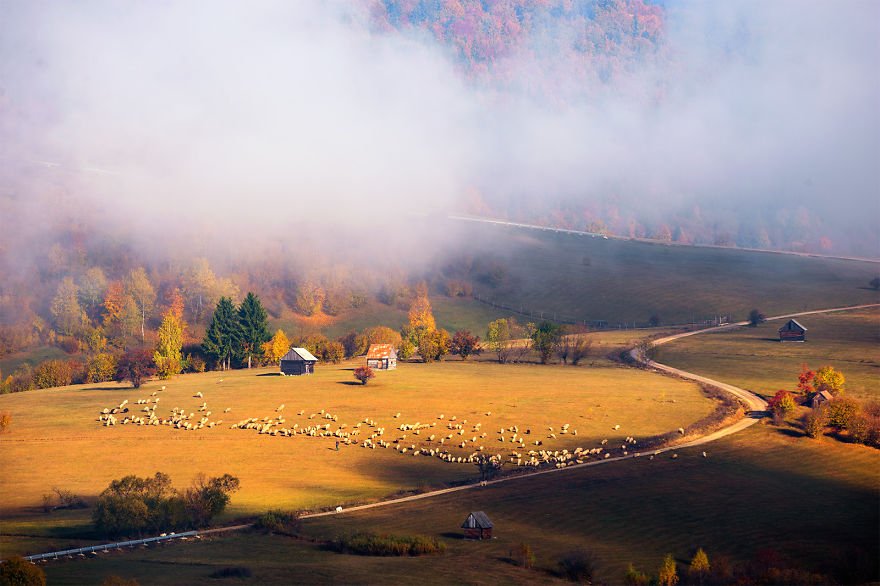 covinnus's tweet photo. The beauty of #Transylvania captured in 16 breathtaking #photos.
#PhotosOfTheDay 
https://t.co/ZvSJtyIm0x https://t.co/XfNg8JwSYd