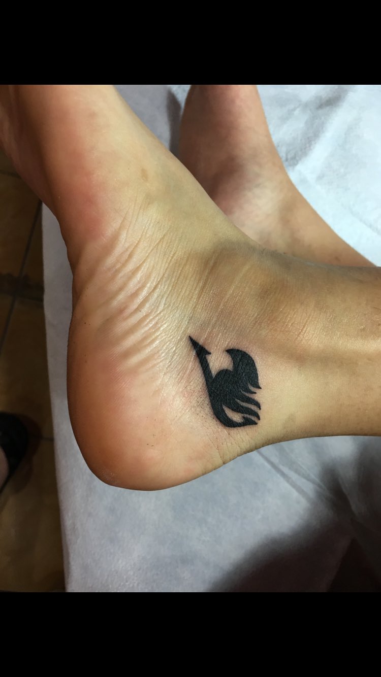 Katherine on X: "Hey @ToddHaberkorn look! A tattoo artist just put the official Fairy Tail mark on my ankle ^o^!!! https://t.co/CUvwTFT0HJ" / X