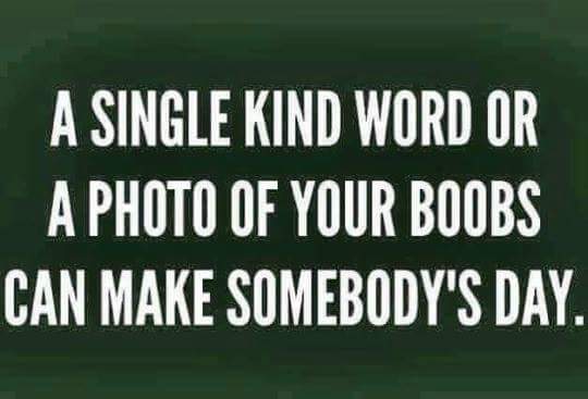 KellyHamII's tweet image. 