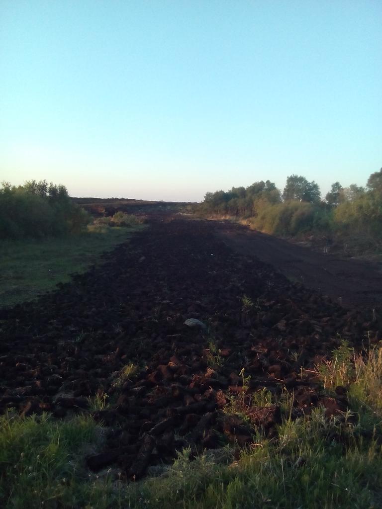PaulBucca91's tweet image. The bog.. The irish gov &amp;amp; the EU are stopin a handful of ppl cutting solid fuel from the land #disgrace #moneyracket