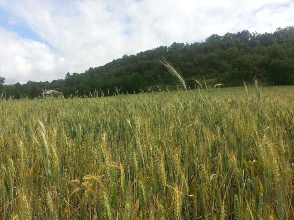 @pierreliotard tweet media