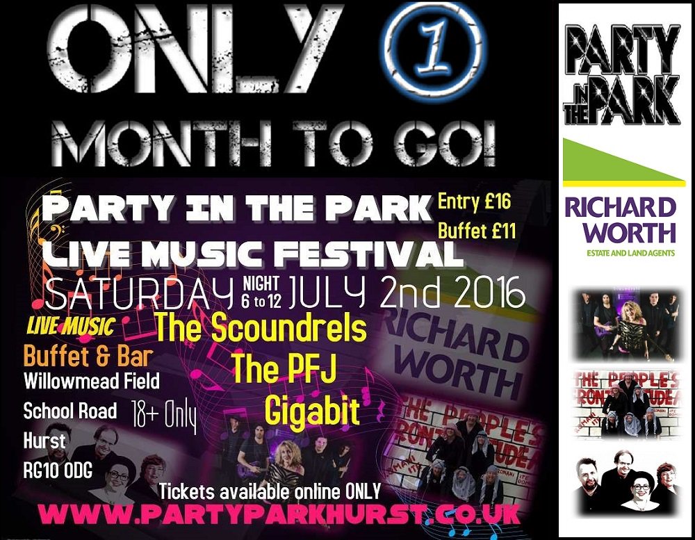 Party In The Park Hurst July 2nd 2016 partyparkhurst.co.uk