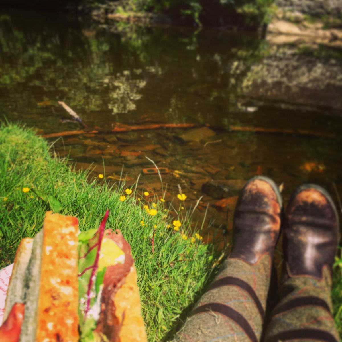 Really interesting visit to Highland Wagyu with <a href="/ChapmanMartine/">Highland Wagyu</a> Thanks! Tasty lunch from @WagyuHouse afterwards 🐃☀️