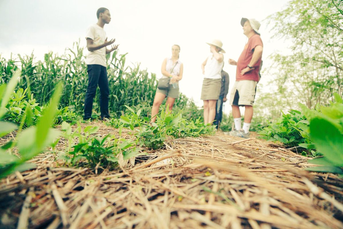 Sesa__Mu's tweet photo. It's always a fun experience shaping guests around our demonstration site. Discover new opportunities for change! https://t.co/XCuP0JL13V