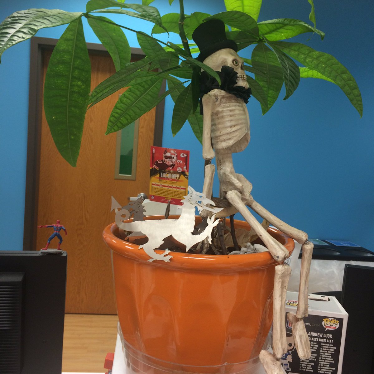 omgjaunty's tweet photo. So happy Nick Cave named his new album after me and @DeMarcoPolo29 💀🌴 Skeleton Tree 🌴💀 https://t.co/yzM5uOEn1b