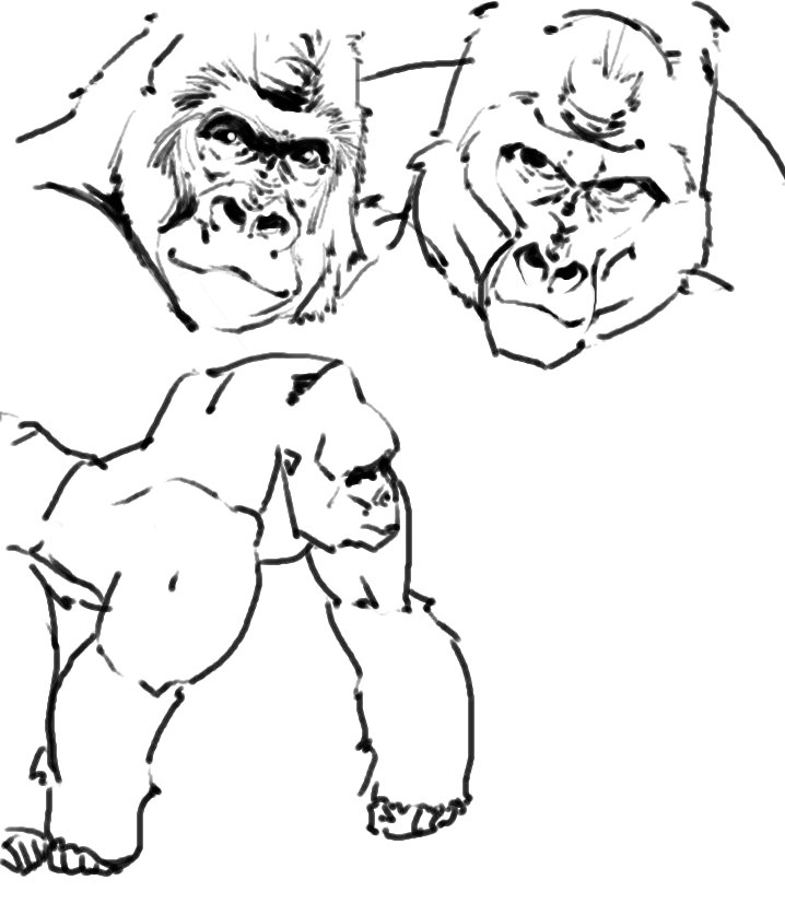 ゴリラ ゴリラゴリラ 