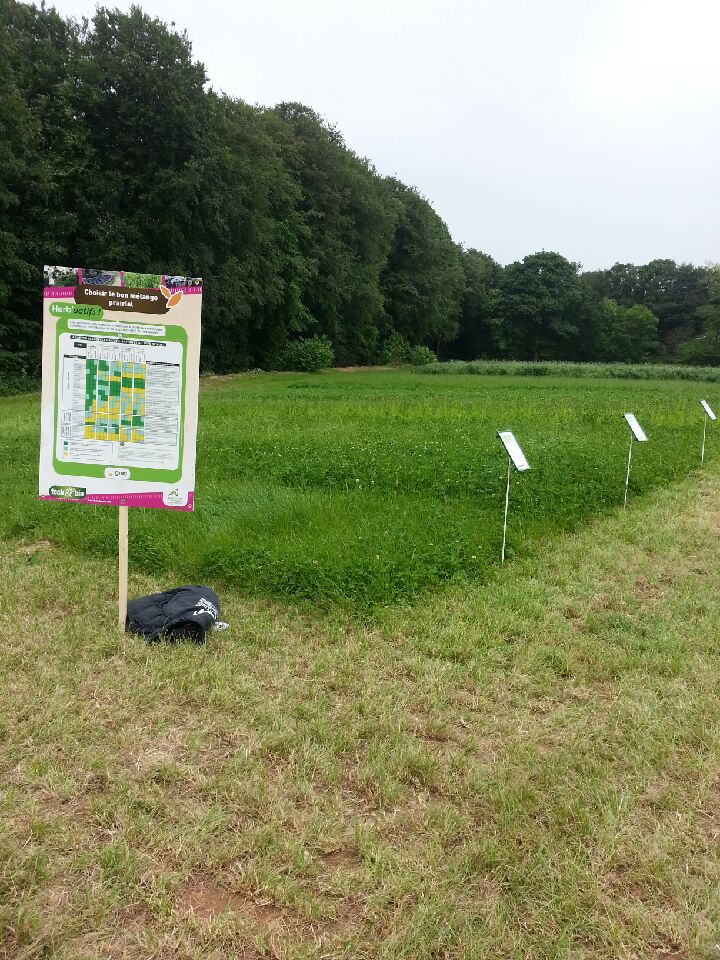 semaeOuest's tweet photo. Il n'est pas trop tard pour aller voir la collection #fourragère au #TechnBioBzh ! Et passer sur le stand du @gnis https://t.co/cWBRMfWXVu