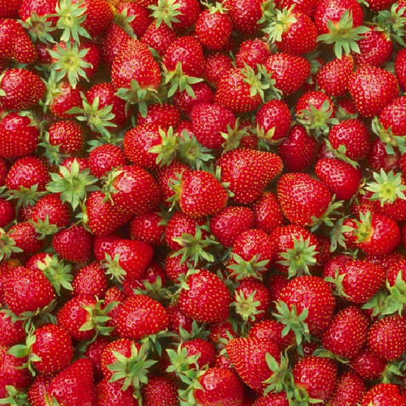 So, it's finally June, and summer means strawberries! Have you had any yet?