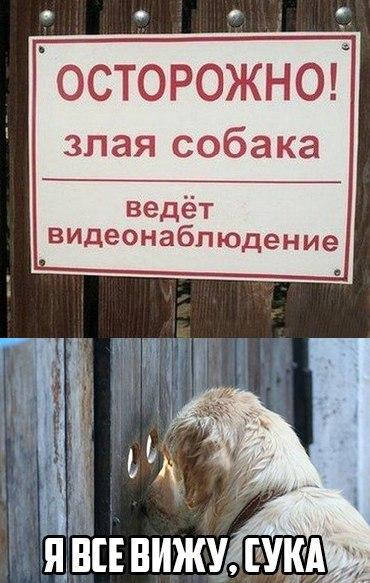 Алина Кудрявцева (@alinakudryav) on Twitter photo 