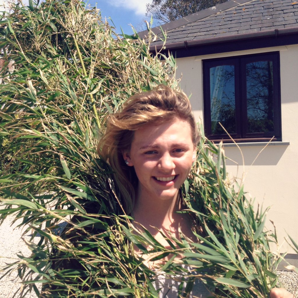 rememberingfey's tweet photo. Final bamboo related preparations for #AMATAShowcase16 https://t.co/Pl42eIvOUL