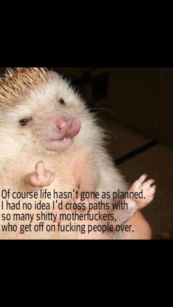 Samantha Davies ✈ tweet media