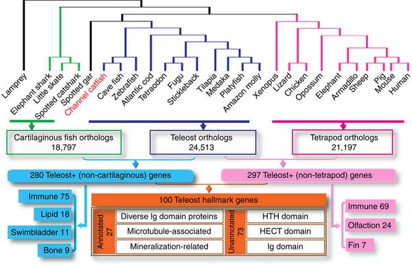 NatureEcoEvo tweet media