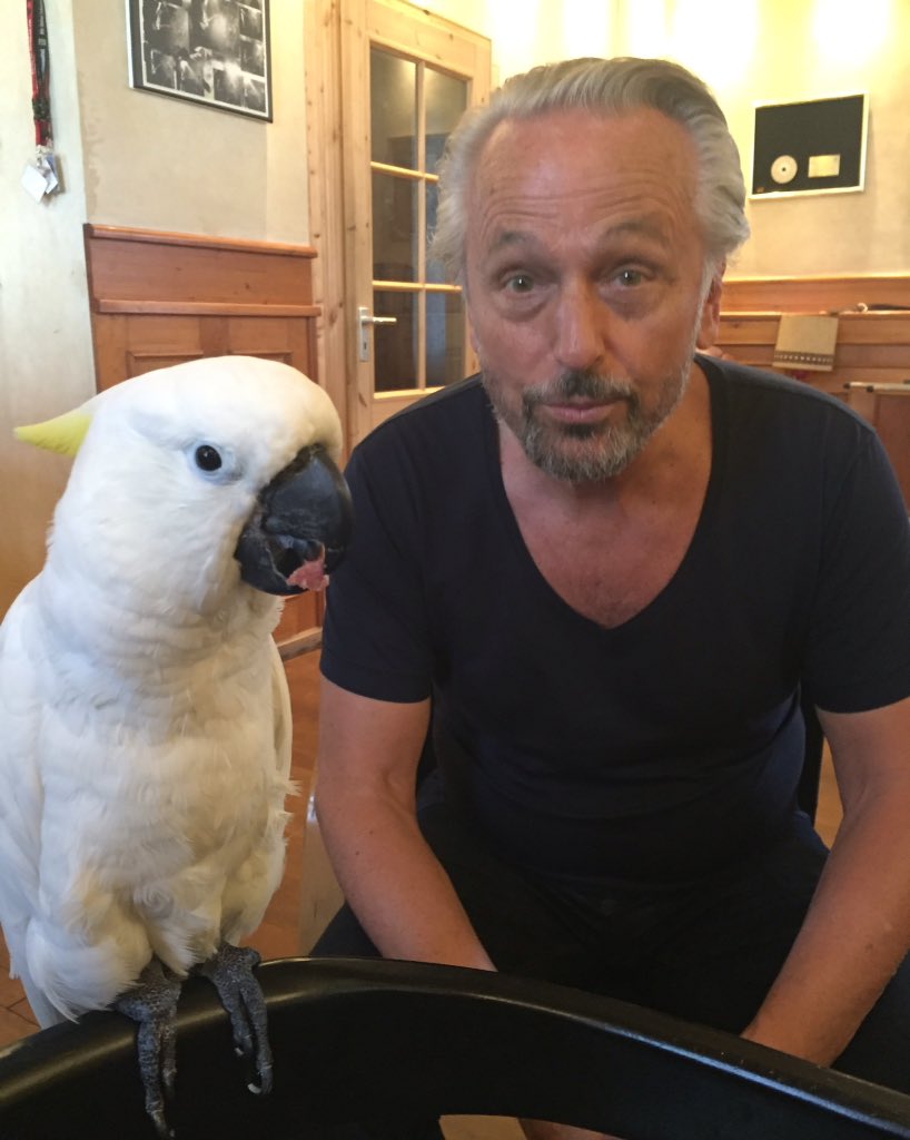 HomeStudiosHH's tweet photo. H.O.M.E. Studios hat einen Vogel... #rocko #kakadu #besuchimhome #vogelwitze https://t.co/xnJ2gVBIFa