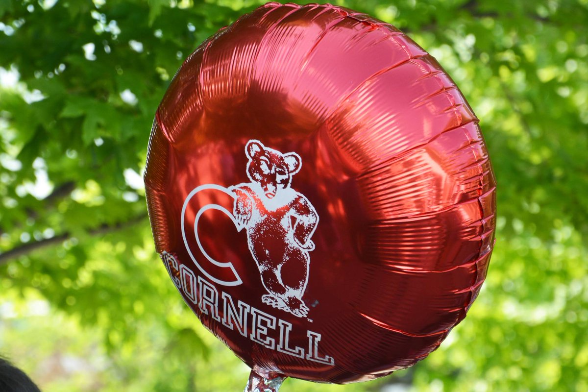 cornellvet's tweet photo. #CornellVet #Cornell16 Hooding https://t.co/SSivWZvsBc