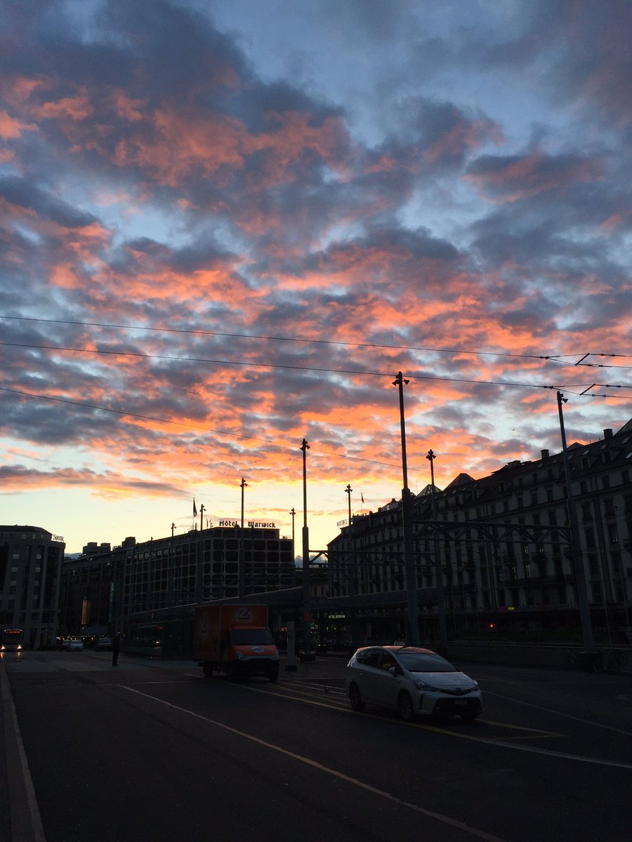 galeriewolff's tweet photo. https://t.co/iBcMzjLGhs