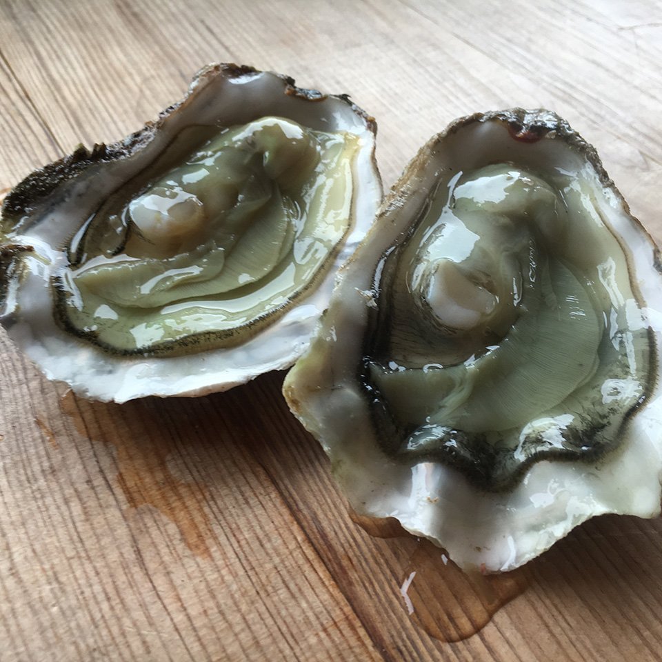 deliciousmag's tweet image. Congrats to @shellfishrus shortlisted in our #deliciousawards for their rock oysters (in assoc. with Fisher&amp;amp;Paykel)