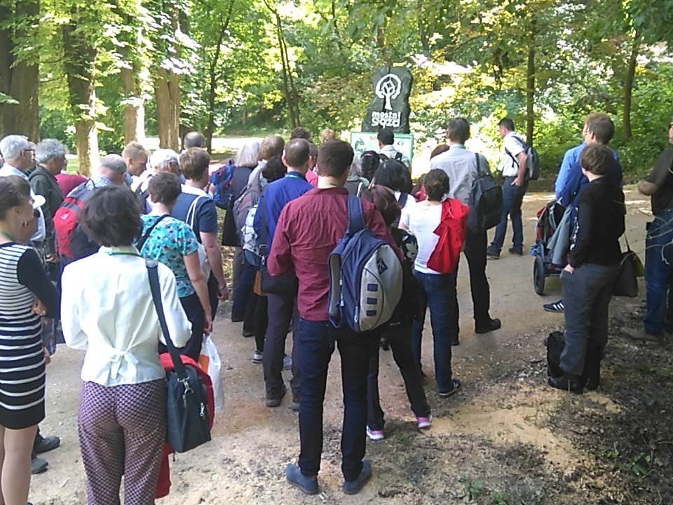 PlaninsekSpela's tweet photo. Finally-urban forest of #celje #EFUF2016 https://t.co/sDEBkNi44f