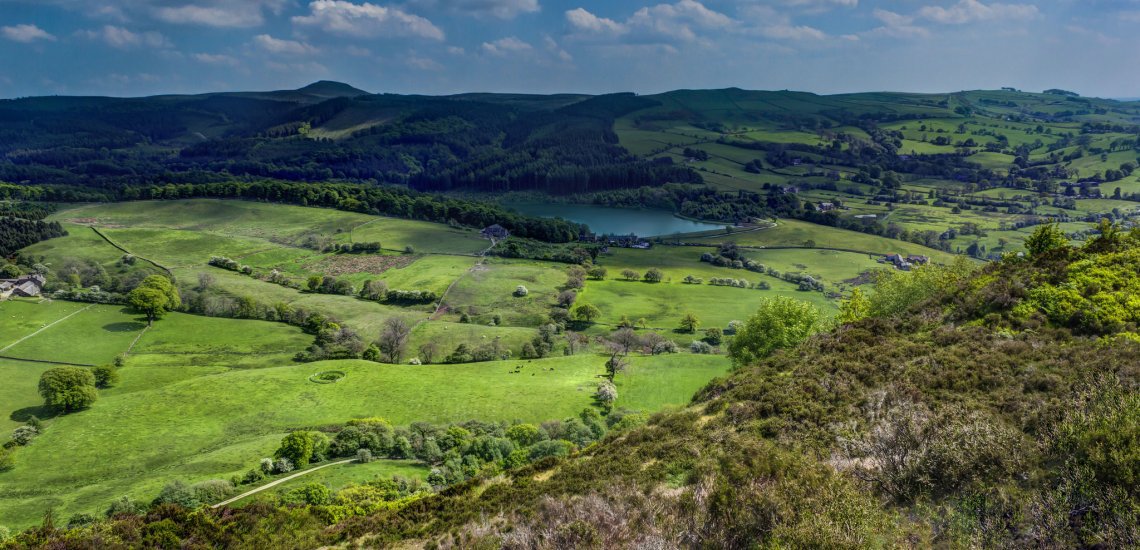 BirdLifeEurope's tweet image. .@David_Cameron supports #EU Nature laws goo.gl/ZZegio  @RSPBNews @wwf_uk #NatureAlert #ThinkEnvironment