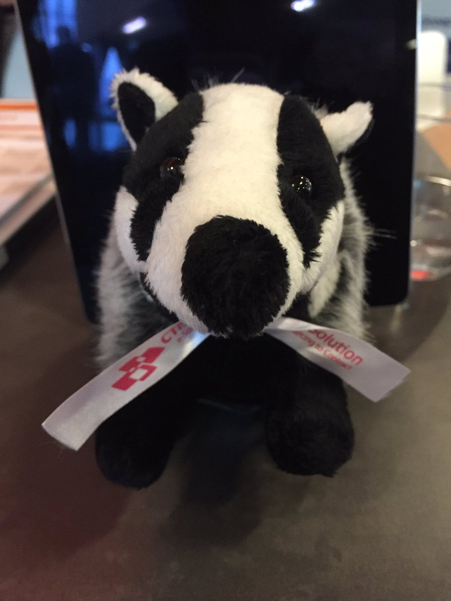 CTMsolution's tweet image. #npcongres ik zoek een baasje. Kom het grote #ctmsolution Das quiz spelen en win mij