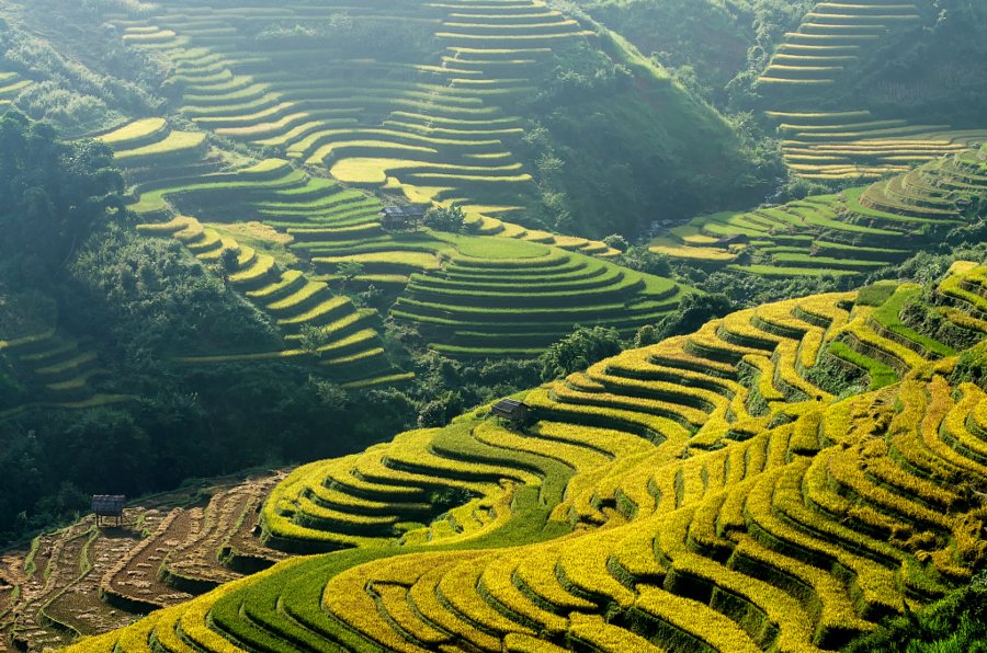 CapTheMomentPic's tweet photo. 17 Amazing Vietnam Landscape Images You May Never Seen Brfore https://t.co/Of8c7Ao1Ze https://t.co/K7XDtVEecY