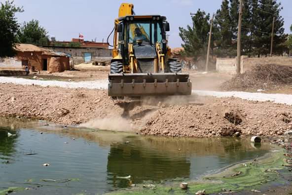 Halil Turgut tweet media