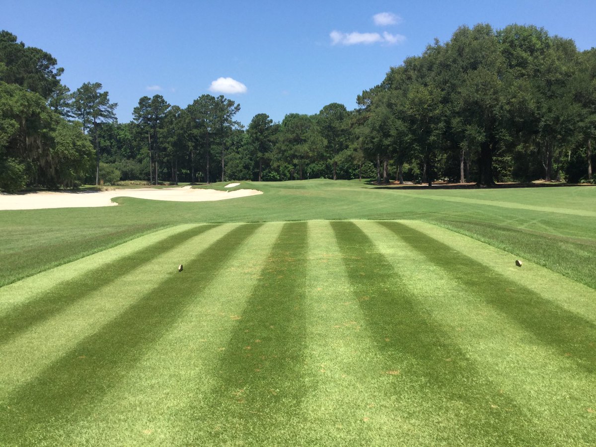 Belfair West (west_belfair) Twitter