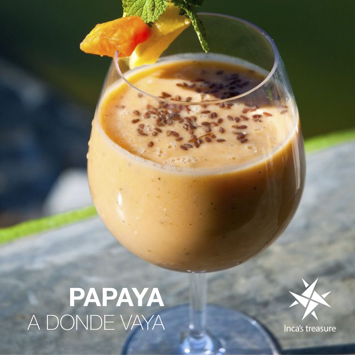 incas_treasure's tweet photo. Una de las mejores combinaciones! Papaya y Chia #food #health #ecuador https://t.co/8hy2nc6cPd