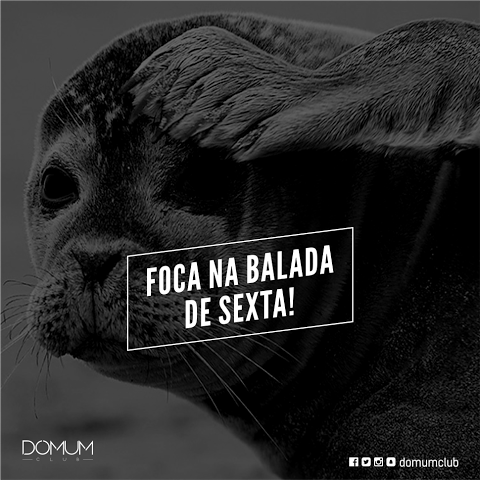 brunoricard0's tweet photo. Foca na balada de Sexta! Foca na Cancun! https://t.co/wv5gUcgDzO
