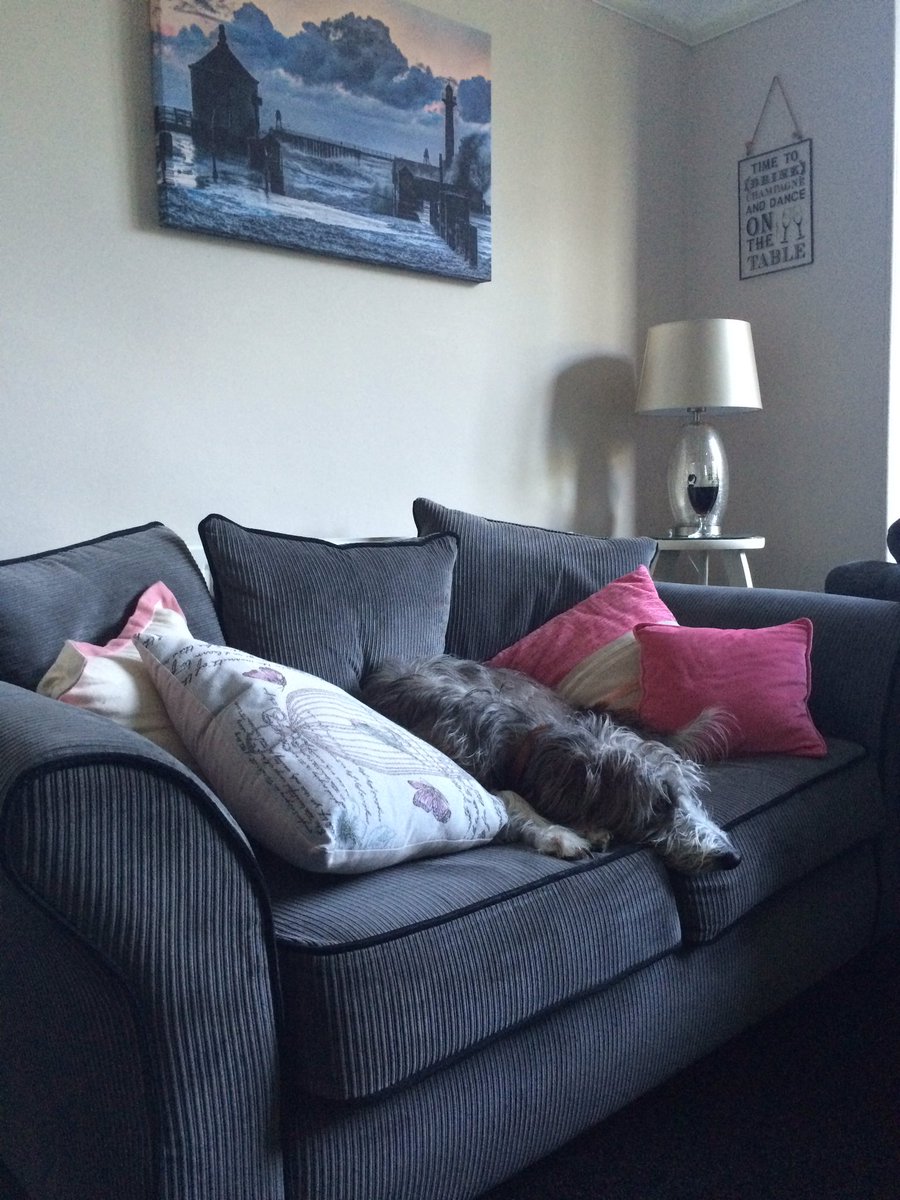 TES128's tweet photo. Someone's Comfy watching footie! 🐶 
#CharlieLad 
#ENGvPOR https://t.co/FBoV1lQ0Hb