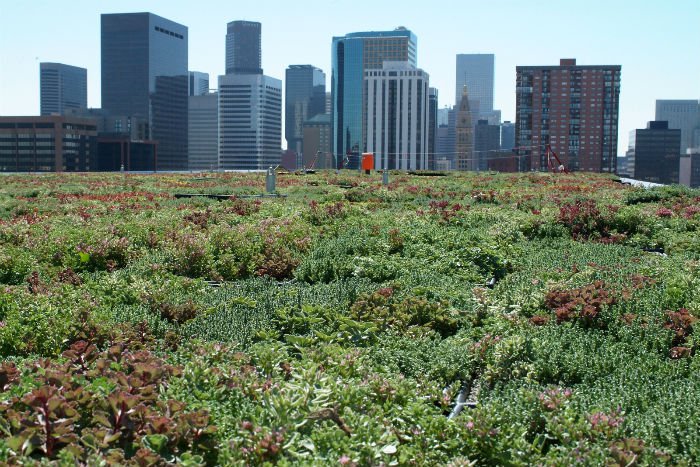 RoofRocket's tweet image. Are Green Roofs Viable? bit.ly/1WyrwE3 #RoofRocket #GreenRoof