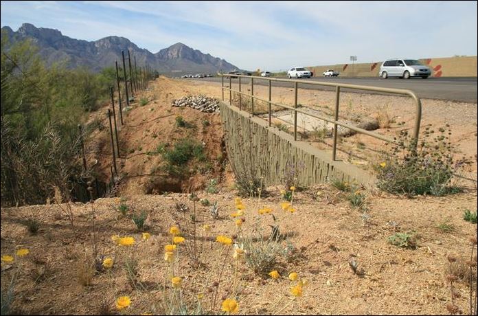 ArizonaDOT's tweet photo. Oracle Road project benefits wildlife, motorists and cyclists:  https://t.co/Du1IFTyFuS https://t.co/kz859aJM3g