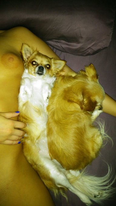 Good morning from Polly and Meeka! Hope everyone has a great Thursday don't forget to rate me on @FreeOnes<a href="/tag/catwoman"class="tags"><span>#catwoman</span></a><a href="/tag/harleyquinn"class="tags"><span>#harleyquinn</span></a>