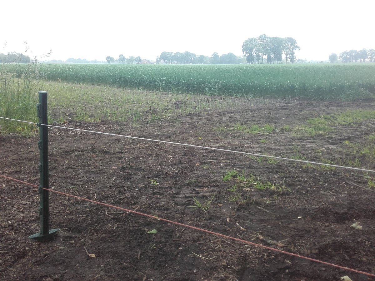 Als <a href="/staatsbosbeheer/">Staatsbosbeheer</a> de hekken open zet, boer pas op je gewassen. Vannacht weer varkensvisite gehad.