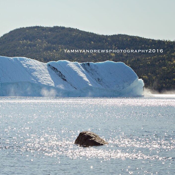 @NLIcebergReport @ExperienceNL  check out these bergs entering King's Point bay. #icebergcrash